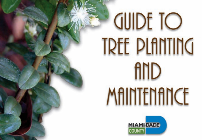 Miami-Dade County Guide to Tree Planting and Maintenance