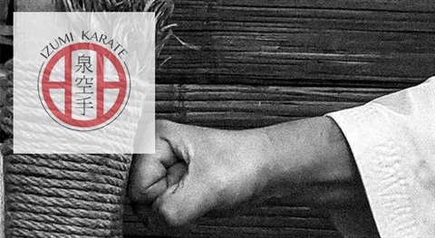 Izumi Karate School Image