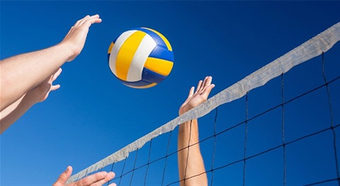 Adult Sand Volleyball Tournament Image