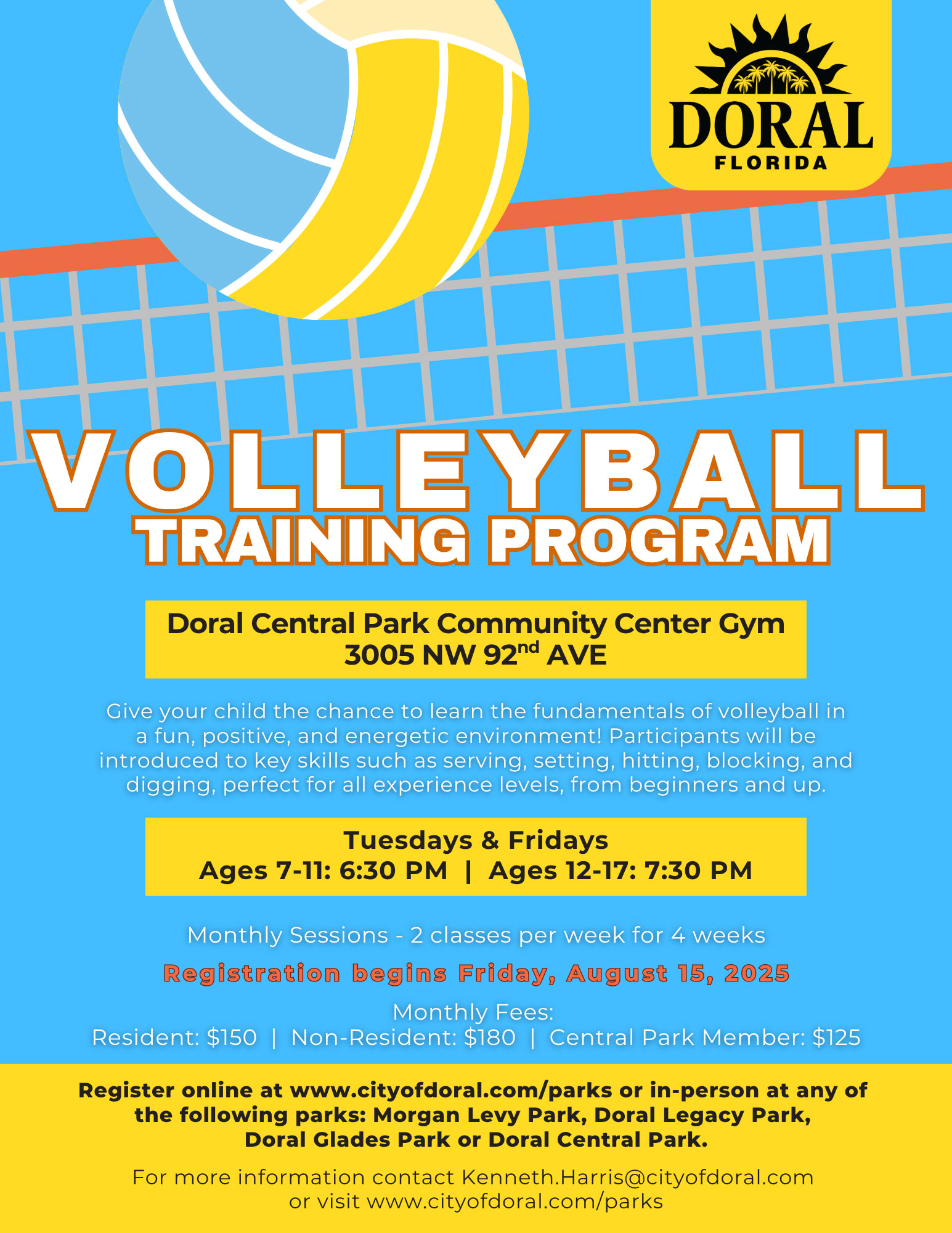 Volleyball Training program Flyer