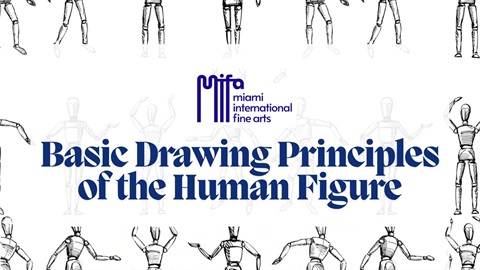 Basic Drawing Principles of the Human Figure