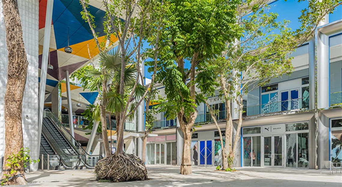 Trip Design District Image