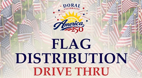 250 Flag Distribution Image
