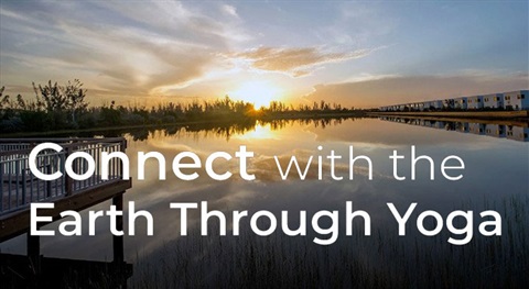 Connect-with-the-Earth-through-Yoga-Image.jpg