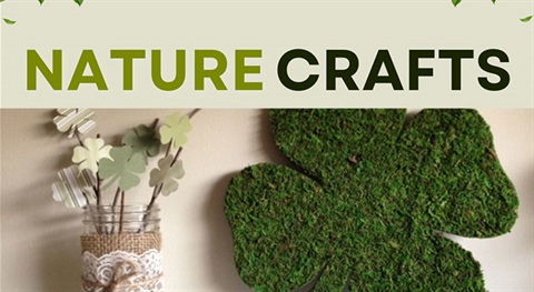 Nature Craft- Moss Four-Leaf Clover