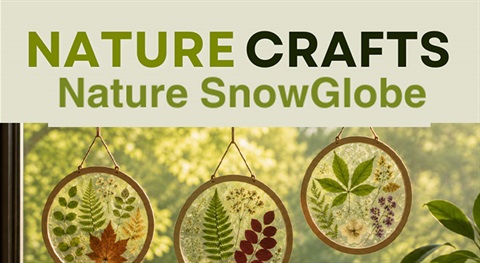 Nature Programming Nature SnowGlobe Image