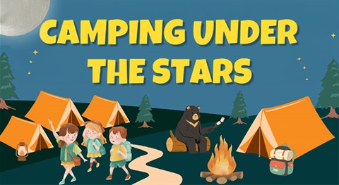 Camping Under the Stars Image