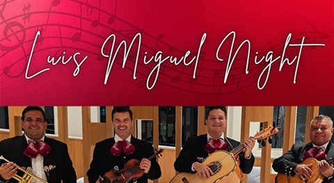 Luis Miguel Night Image