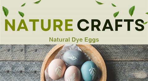 Nature Craft Image