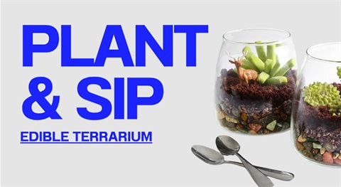 Plant and Sip Edible Terrarium Image