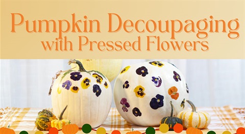 Pumpkin Decoupaging with Pressed Flowers Image