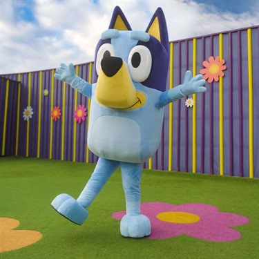Bluey Appearance