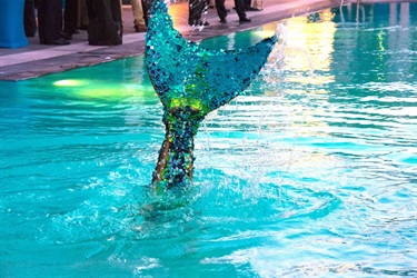 Mermaid Appearances