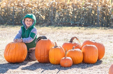 Fall Festival 02