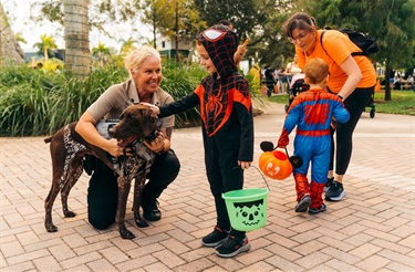 Fall Festival 07
