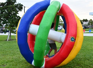 Dizzy Spin Balls