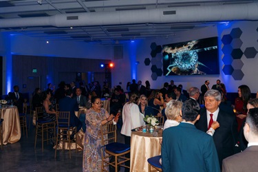 Shield of Americas 05