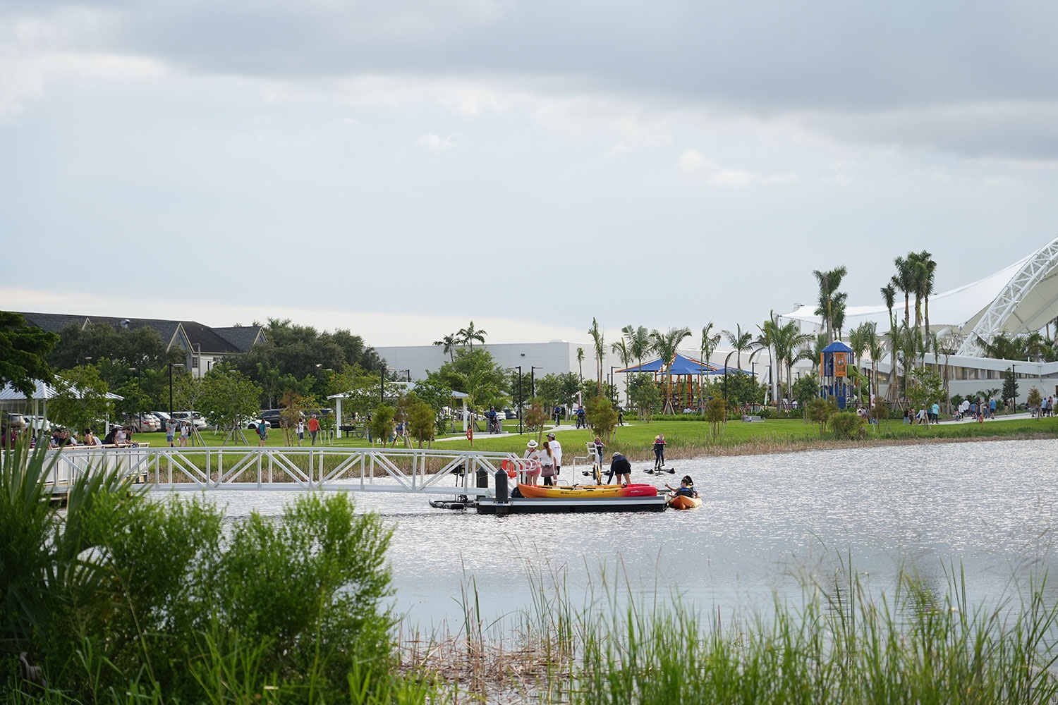 DCP-Image-8.jpg