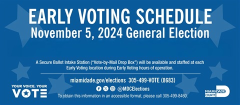 Early Voting Image