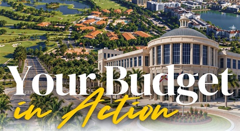 Your-Budget-in-Action.jpg