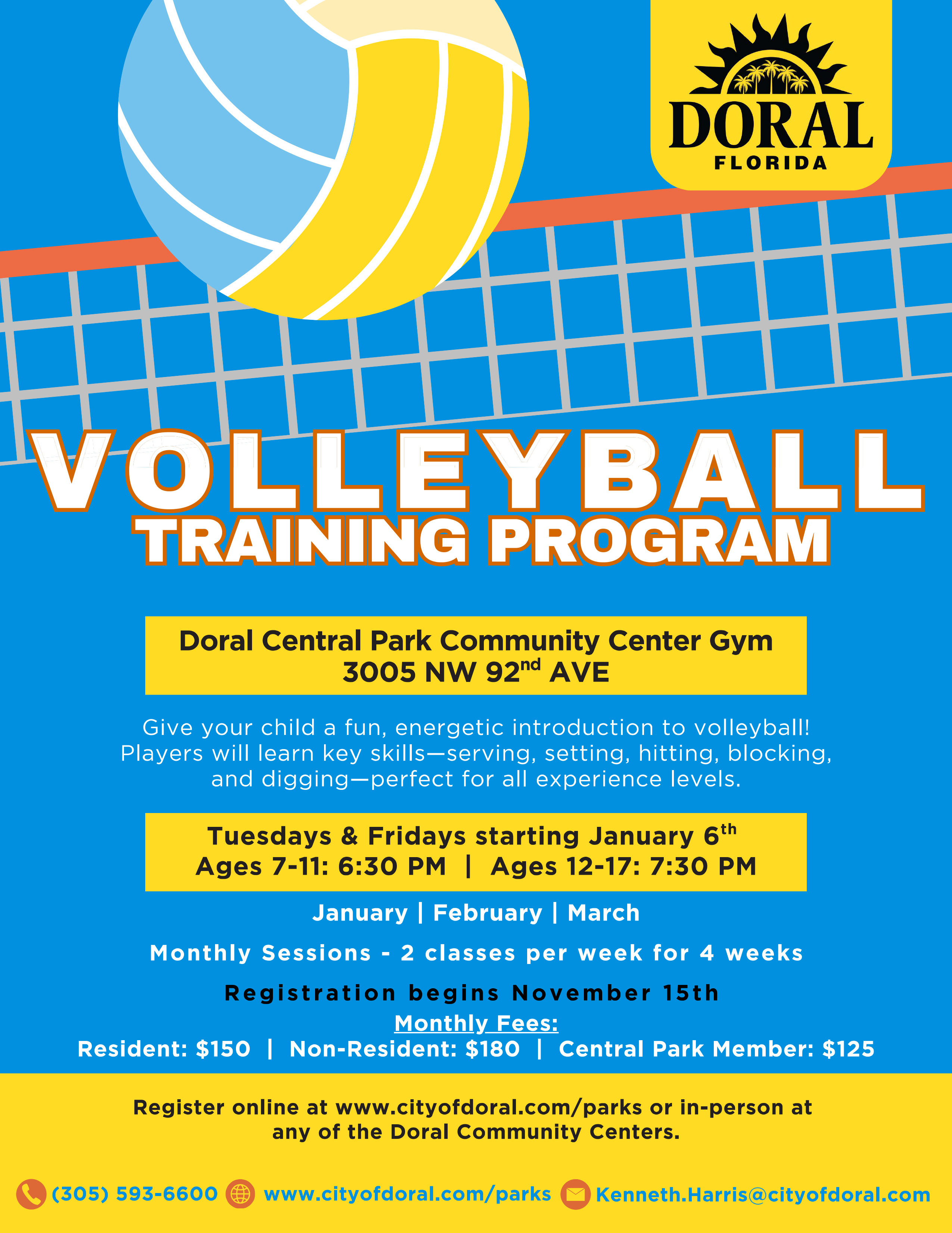 Volleyball Training program Flyer