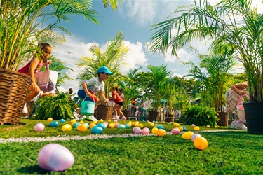 Egg Hunting